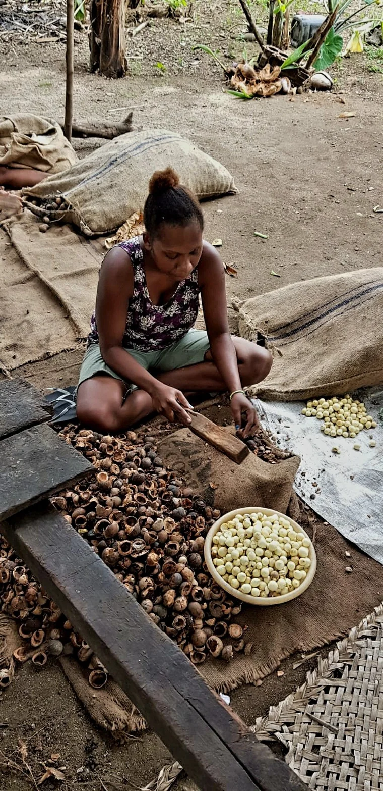 A woman cracking tamanu nuts by hand on Malekula, shells on one side and pale kernels in a bowl